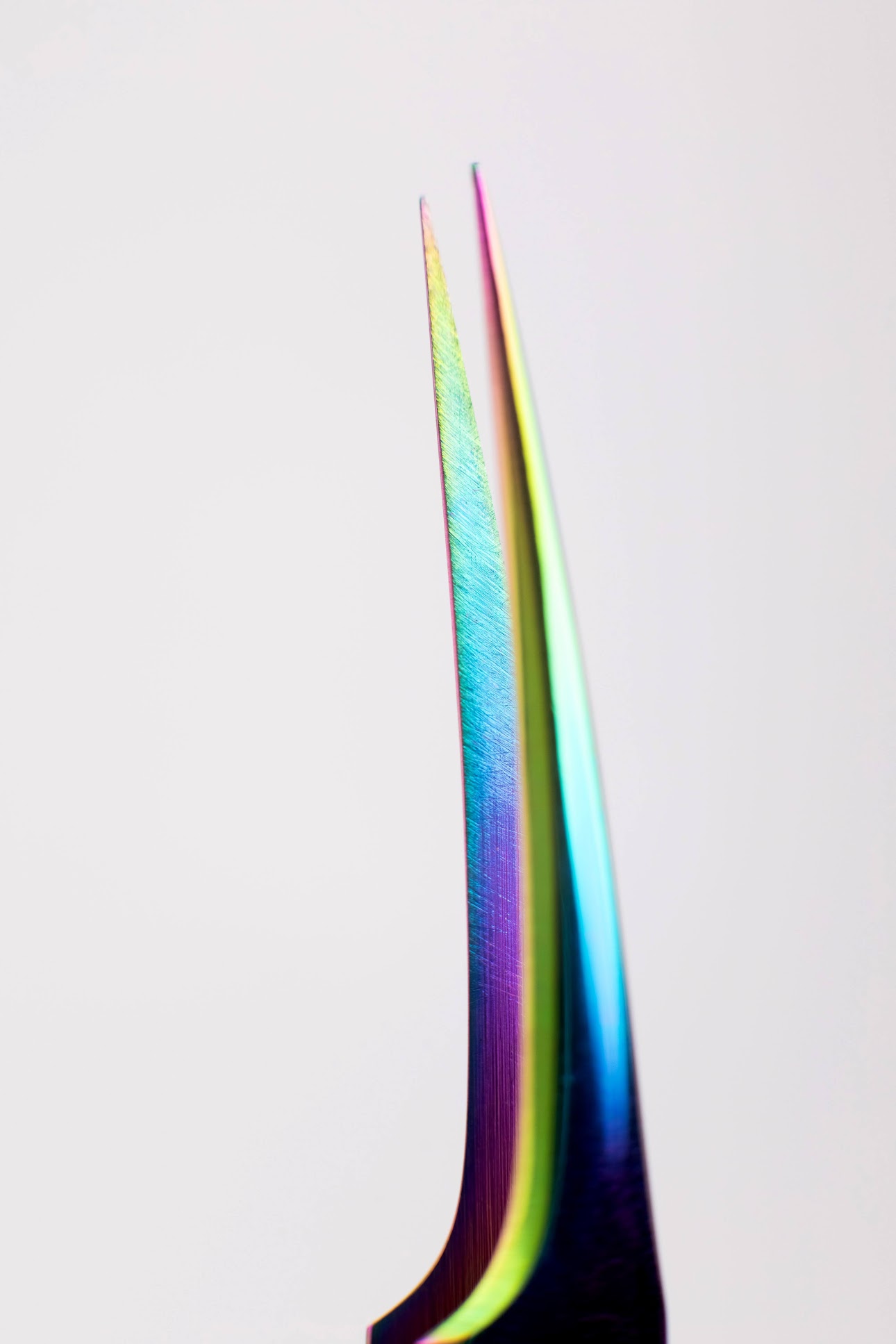 PĘSETĄ DELFIN DO SEPARACJĘ - obrazek 3